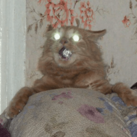 ZcoBhGZb.жипег