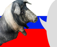 6FpoBzR7.жипег