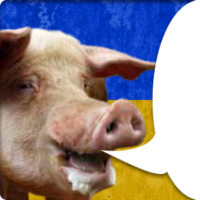 300x300