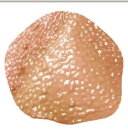 494x508