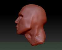 800x654