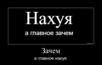 1228x784