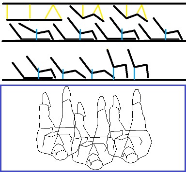 384x356
