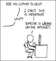 300x330