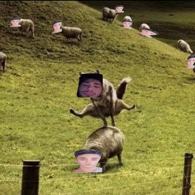 640x640
