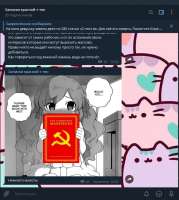 658x735