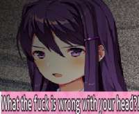409x339