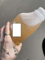 956x1258