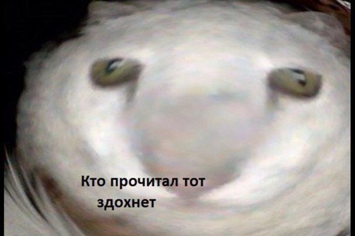 512x341