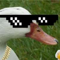 900x900
