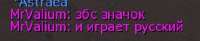 240x50