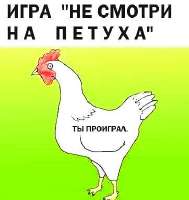 362x383