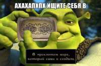 604x399