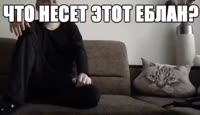 640x368