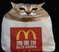 524x456