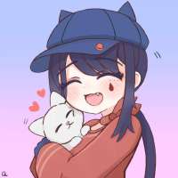 736x736