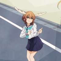 736x736