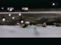 480x360