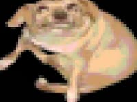 480x360