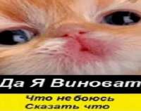 420x333
