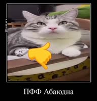 478x498