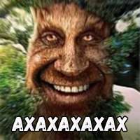 800x800