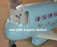 1080x891