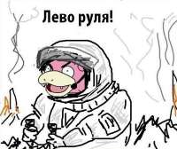 397x334