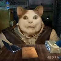 480x480