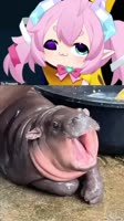 720x1280