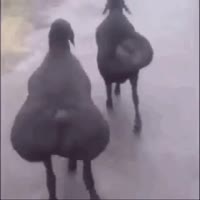 640x640