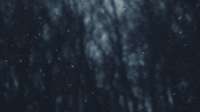 500x281