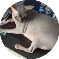 360x360