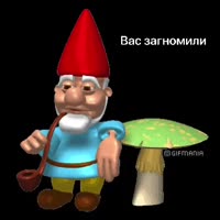 336x336
