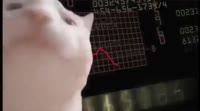 640x356