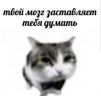 736x701