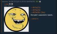 463x274