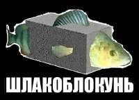 450x324