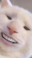 750x1334