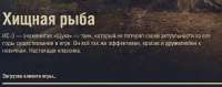 720x285