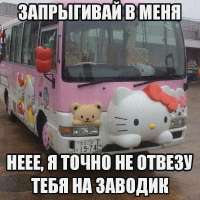 736x736