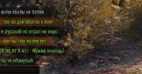 353x184