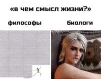 592x467