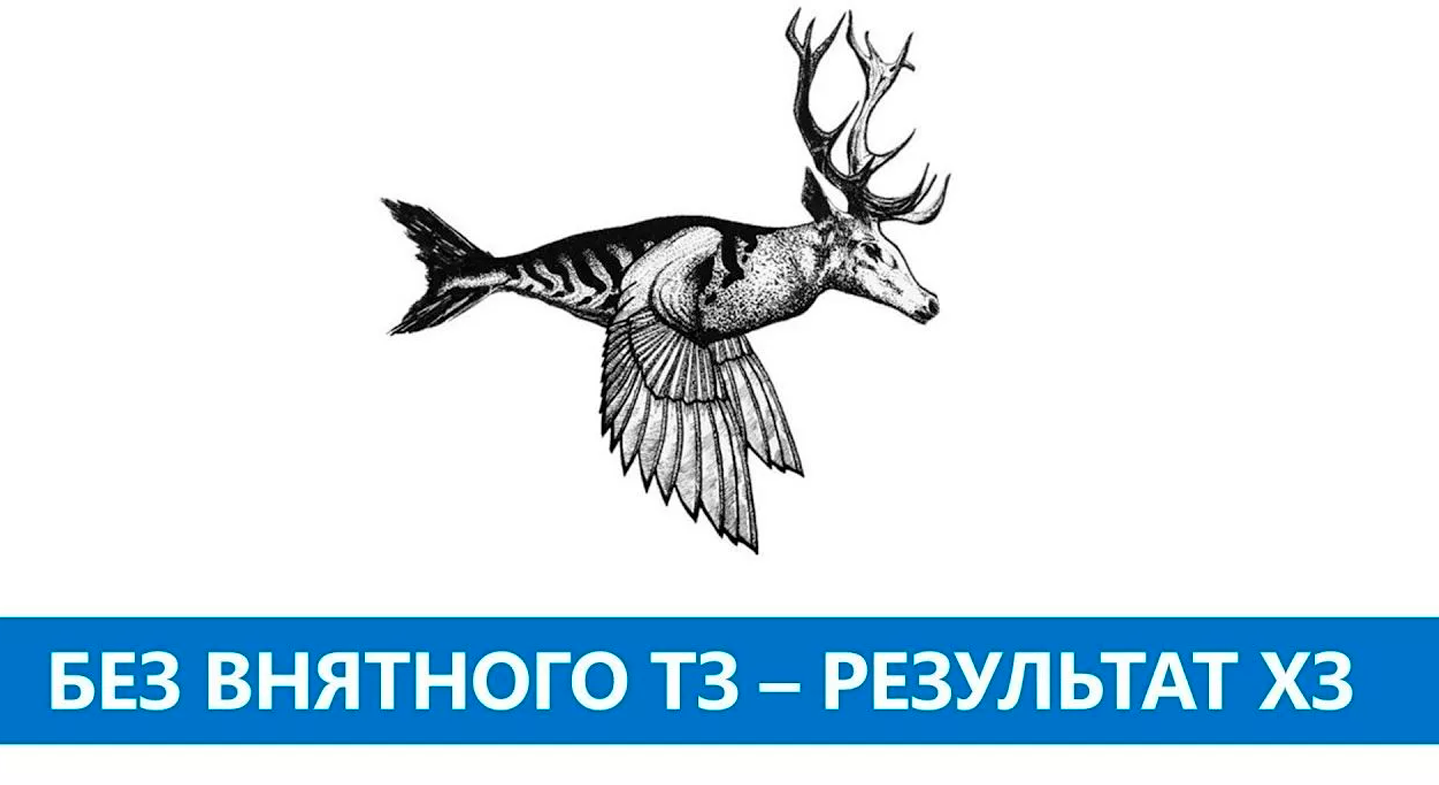 1439x785