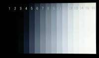 800x475