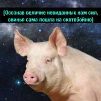 1280x1280
