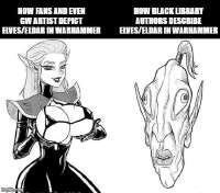 565x499