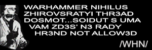300x100