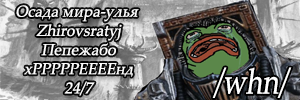300x100