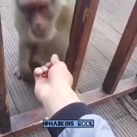 360x360